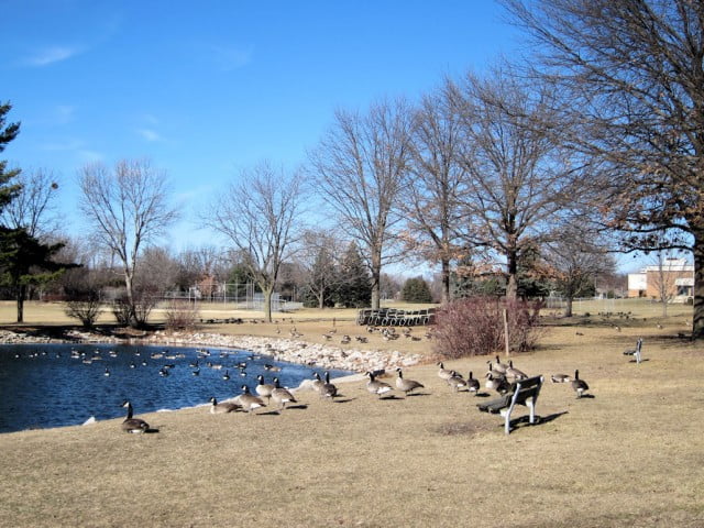 Morrison Park Coralville January 2012 Morrison Park Coralville January 2012